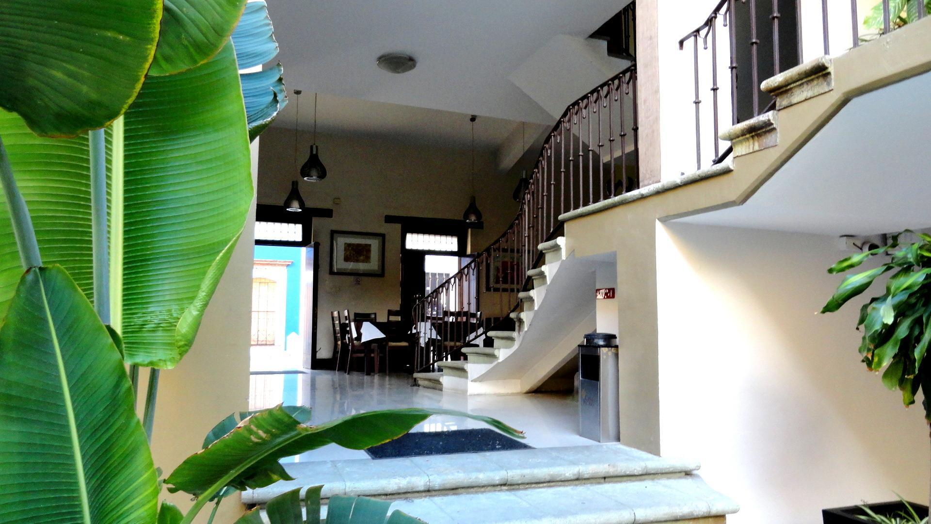 Casa De Las Flores Hotel Oaxaca Bagian luar foto